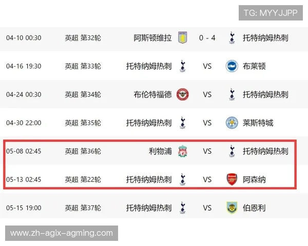 本赛季升入英超的球队名单与前景预测