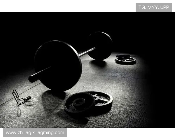 健身器材中全铁杠铃的优势及力量训练用途