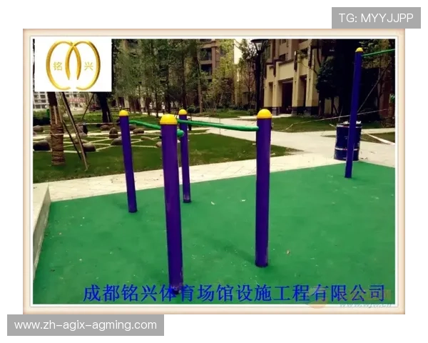 室内健身器材组合使用技巧:科学体育训练系统构建 室内健身器材组合使用技巧:科学体育训练系统构建